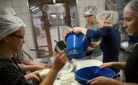 Kaas maken voor particulieren